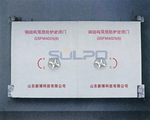 雙扇防護(hù)密閉門